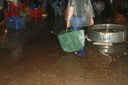 Trời giá rét, những người làm nghề buôn cá vẫn phải dậy từ 1h, 2h sáng lội trong nước buốt, ngập ngụa mùi tanh của chợ Yên Sở.